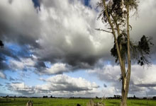 TF gaming-罗马远征成功，尤文图斯客场平局